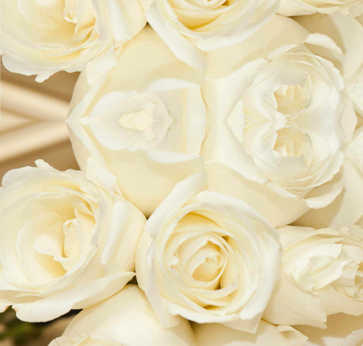 A close-up of white-rose floral arrangements